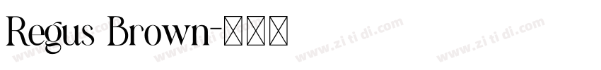 Regus Brown字体转换